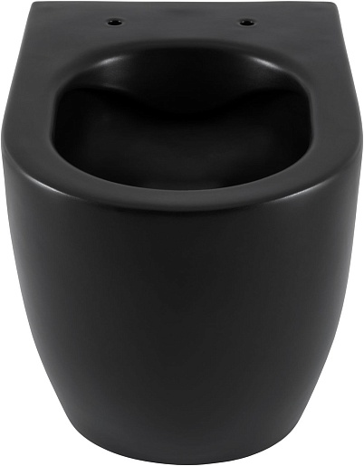 Allen Brau Унитаз напольный Fantasy 4.32004.31 чёрный матовый – фотография-12