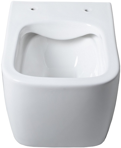 Allen Brau Унитаз подвесной Liberty 4.32003.20 белый глянец – фотография-2