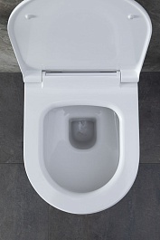 Allen Brau Унитаз с инсталляцией Priority 00301296/8.9466.0.000.000.1 белый глянец – фотография-19