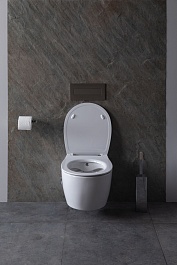 Allen Brau Унитаз подвесной Fantasy 4.11HC1.20 белый глянец с крышкой 4.11005.20 – фотография-4