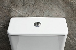 Allen Brau Унитаз напольный Priority Tornado 4.31006.20 белый глянец – фотография-4