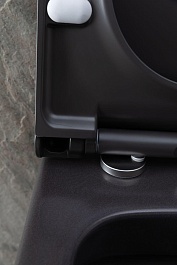 Allen Brau Унитаз подвесной Priority 4.31001.AN антрацит с крышкой 4.31004.AN – фотография-18