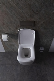 Allen Brau Унитаз с инсталляцией Liberty 4.33004.20/8.9466.0.000.000.1 белый глянец – фотография-11