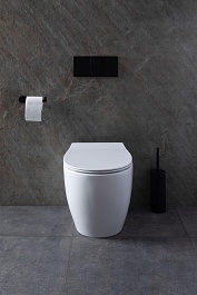 Allen Brau Чаша приставного унитаза Fantasy 4.11007.20 белый глянец – фотография-32