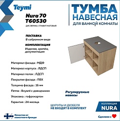 Teymi Тумба с раковиной Nura 70 дуб эврика/графит матовый T60530 раковина T50002 – фотография-4