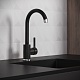Aringa Смеситель для кухни Вико AR02018BL черный – картинка-8
