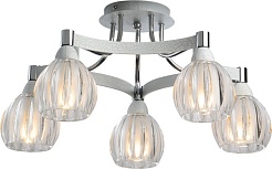 N-Light Люстра 418-05-73CWC потолочная – фотография-1