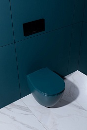 Allen Brau Унитаз подвесной Fantasy 4.11004.PT петроль с крышкой 4.11005.PT – фотография-16