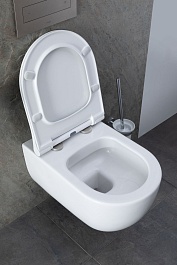 Allen Brau Унитаз с инсталляцией Priority 00301296/8.9466.0.000.000.1 белый глянец – фотография-2