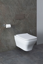 Allen Brau Унитаз подвесной Infinity 4.21011.20 белый глянец с крышкой 4.21013.20 – фотография-2