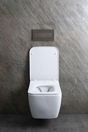 Allen Brau Унитаз подвесной Liberty 4.33007.20 белый с крышкой 4.33008.20 – фотография-28