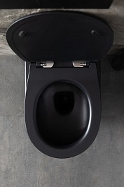 Allen Brau Чаша подвесного унитаза Reality 4.32006.31 чёрный матовый – фотография-3