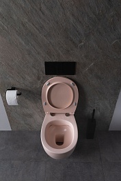 Allen Brau Унитаз подвесной Fantasy 4.11004.SM розовый с крышкой 4.11005.SM – фотография-10