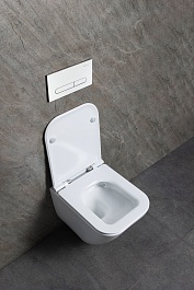 Allen Brau Чаша подвесного унитаза Liberty 4.33012.20 белый – фотография-3