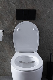 Allen Brau Унитаз приставной Fantasy 4.11007.20 белый глянец – фотография-24