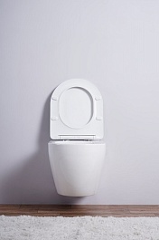 Esbano Унитаз Amapola-N подвесной безободковый белый матовый – фотография-6