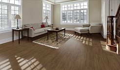 Коллекция плитки Керамика Будущего Идальго Граните Вуд Классик софт