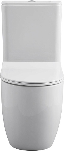 Allen Brau Чаша напольного унитаза Priority 4.31003.20 белый – картинка-3