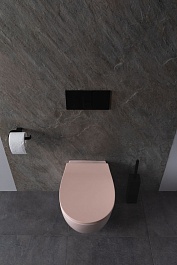 Allen Brau Чаша подвесного унитаза Fantasy 4.11004.SM розовый – фотография-9