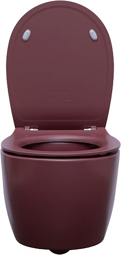 Allen Brau Чаша подвесного унитаза Fantasy 4.11004.BD бордо – фотография-2