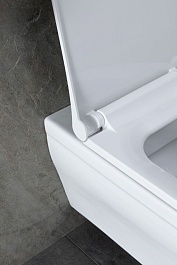 Allen Brau Унитаз с инсталляцией Infinity 4.21011.20/8.9466.0.000.000.1 белый глянец – фотография-4