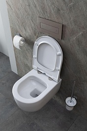 Allen Brau Унитаз подвесной Priority 4.31002.20 белый глянец с крышкой 4.31004.20 – фотография-27