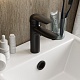 Teymi Смеситель для раковины Hanna T10255 черный матовый – картинка-20