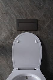 Allen Brau Унитаз подвесной Fantasy 4.11HC1.20 белый глянец с крышкой 4.11005.20 – фотография-13