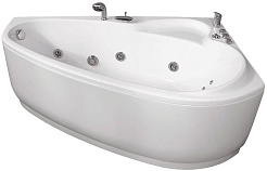 Triton Фронтальный экран Пеарл-Шелл L – фотография-2