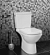 Villeroy & Boch Унитаз-компакт "O'Novo" 56611001 – фотография-5
