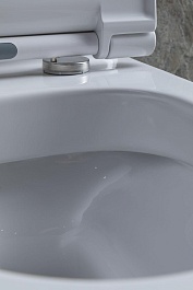 Allen Brau Унитаз напольный Priority 4.31003.20 белый – фотография-23