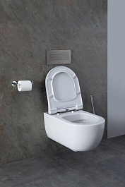 Allen Brau Унитаз подвесной Priority 4.31001.20 белый глянец с крышкой 4.31004.20 – фотография-9