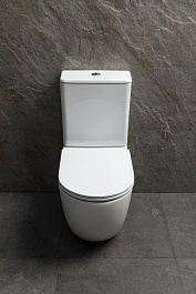 Allen Brau Унитаз напольный Priority Tornado 4.31006.20 белый глянец – фотография-9