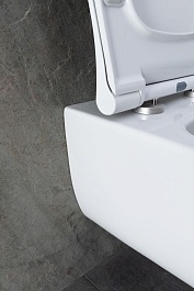 Allen Brau Унитаз с инсталляцией Priority 00301296/8.9466.0.000.000.1 белый глянец – фотография-10