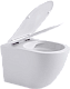 Aquanet Унитаз подвесной Cetus 249710 – картинка-11