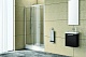 Kolpa San Душевая дверь в нишу Q-line TV/2D 100 – картинка-6