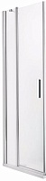 Roltechnik Душевая дверь "TDO1 1100" brillant
