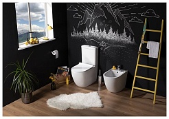 Aquanet Чаша унитаза Rimless Cetus-C1 BL-102N-TPT – фотография-6