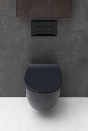 Allen Brau Унитаз подвесной Fantasy 4.11004.31 чёрный матовый с крышкой 4.11005.31 – фотография-13