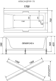 Triton Акриловая ванна Алекса 170x75 – фотография-7