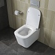 BelBagno Унитаз подвесной Due-Tor BB5171CH-TOR/SC – фотография-31