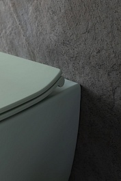 Allen Brau Чаша подвесного унитаза Fantasy 4.11004.MT мятный – фотография-15