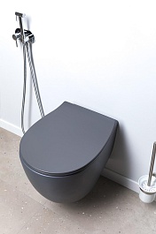 Allen Brau Унитаз подвесной Fantasy 4.11004.AN антрацит с крышкой 4.11005.AN – фотография-19