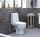Kirovit Унитаз-компакт Бриг – фотография-5