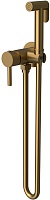 Raiber Гигиенический душ Graceful RPG-009 со встраиваемым смесителем золото матовое