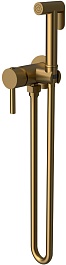 Raiber Гигиенический душ Graceful RPG-009 со встраиваемым смесителем золото матовое – фотография-1