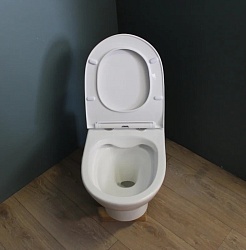 Teymi Унитаз подвесной Ritta T40809 – фотография-6