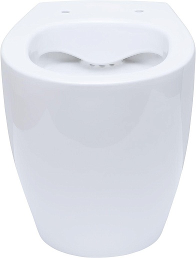 Allen Brau Унитаз приставной Fantasy 4.11007.20 белый глянец – фотография-4