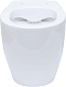 Allen Brau Унитаз приставной Fantasy 4.11007.20 белый глянец – фотография-41