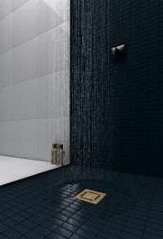 BERGES Wasserhaus Душевой трап Zentrum Norma 150 092463 золото глянец – фотография-4